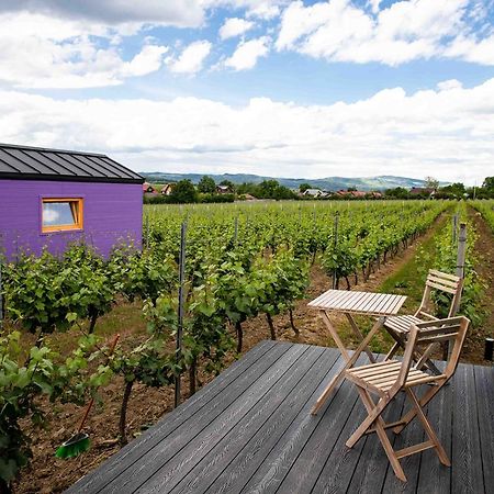 Tiny House In The Vineyard By Gramofon Wine 호텔 Iordachianu 외부 사진